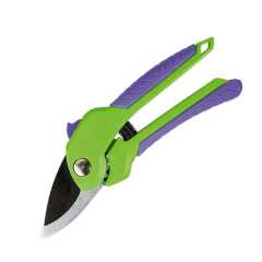 29199_0e658a7e8bf55a42ef2ccb3e0029fe7e