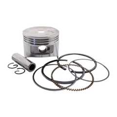 7145_8186ac7542d6e2769a1f9d3f7cbbb874