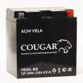 Аккумулятор COUGAR MF 12V30 YB30L-BS 166*126*176