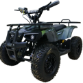 Квадроцикл Motax GRIZLIK MINI E 1000
