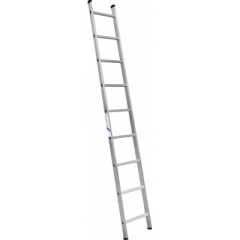 00000013167_1